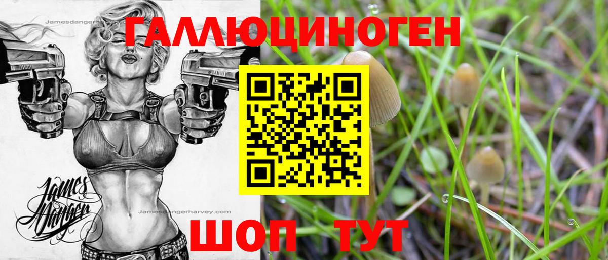 Петропавловск-Камчатский  Галлюциногенные грибы Psilocybe  Галлюциногенные грибы GOLDEN TEACHER  Вход с VPN 